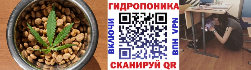 что такое наркотик  Елизово  Canna-Cookies конопля 