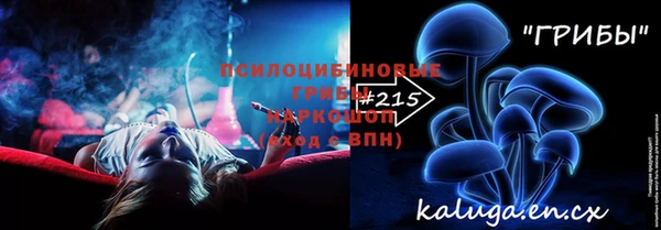 Альфа ПВП Горно-Алтайск