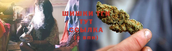 Альфа ПВП Горно-Алтайск