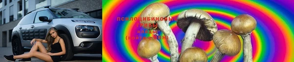 2c-b Елизово