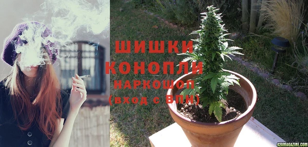 мдпв Горняк