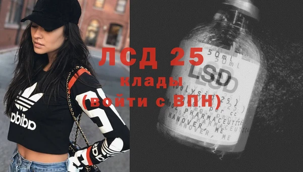 мдпв Горняк
