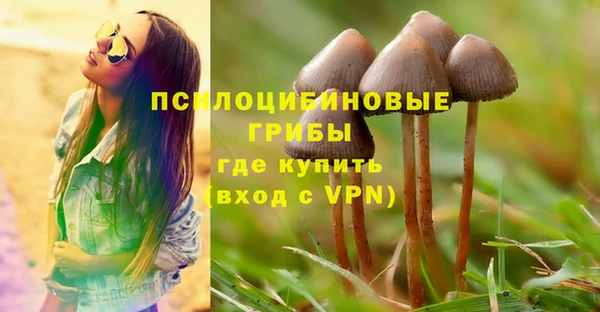 скорость Горнозаводск