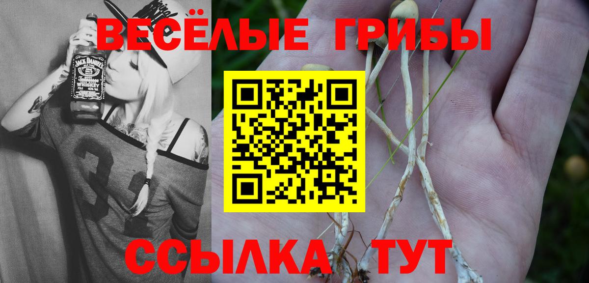 Галлюциногенные грибы Psilocybe Елизово