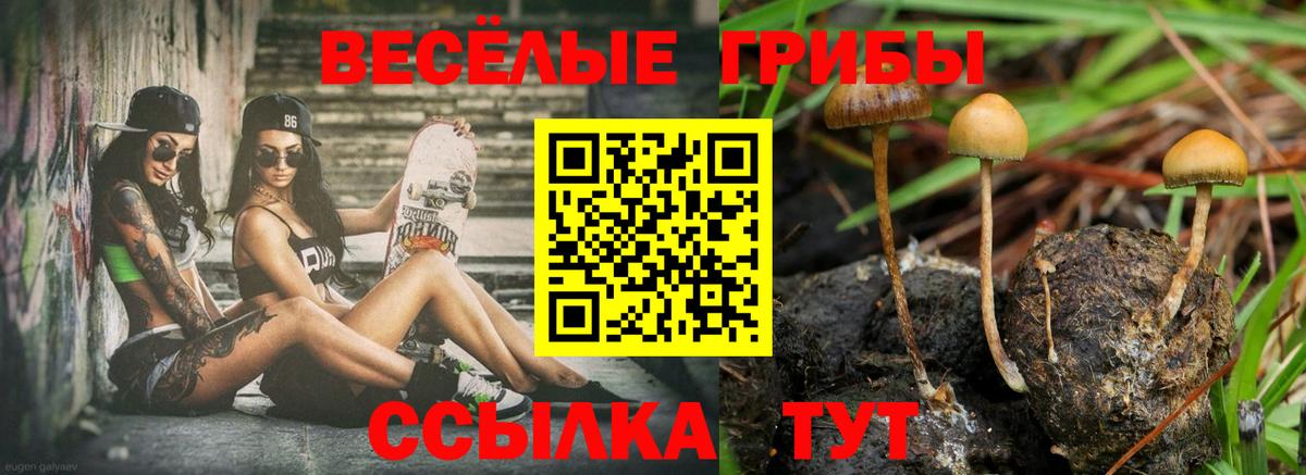 A PVP Елизово