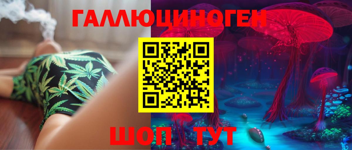 Елизово  Галлюциногенные грибы MAGIC MUSHROOMS  Псилоцибиновые грибы Cubensis  Вход с VPN 