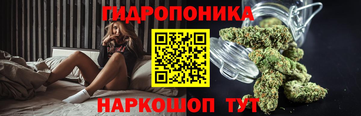 Конопля Ganja  Каннабис тримм  Вход с VPN  Конопля планчик  Елизово  МАРИХУАНА индика 